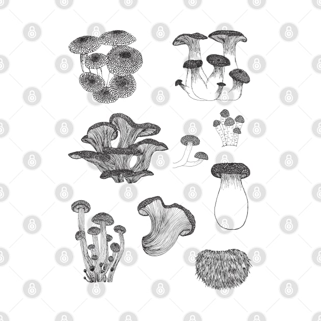 Funki fungi by Ava Ray Doodles