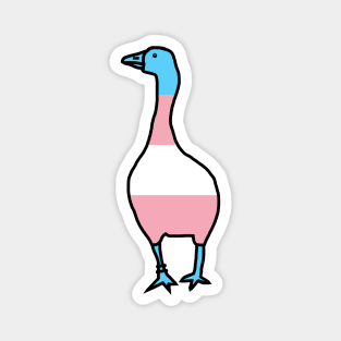 Small Transgender Pride Flag Goose Magnet