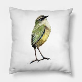 Mr Tuke, Rock wren bird of New Zealand Pillow