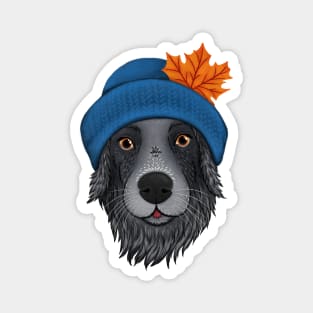 Autumn dog - cozy mood illustration - border collie dog with a hat and a leaf Magnet