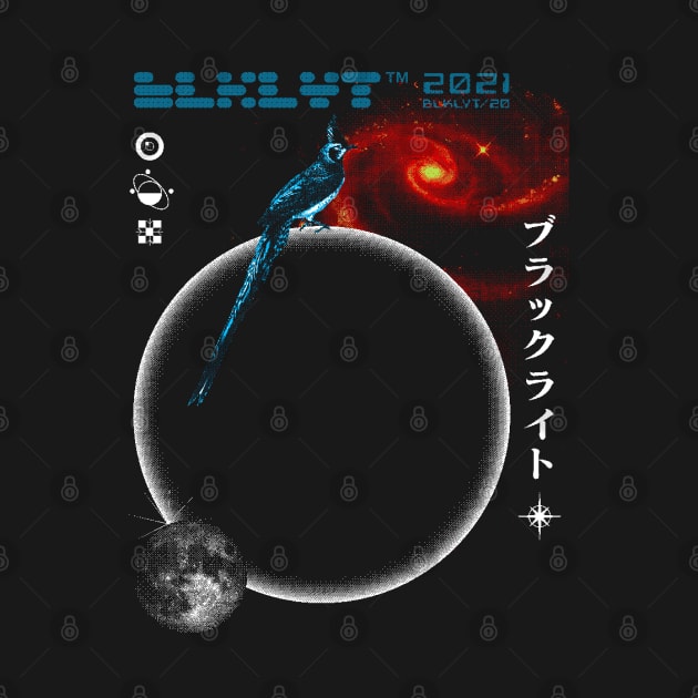 BLKLYT/20 - BLACK HOLE by BLKLYT