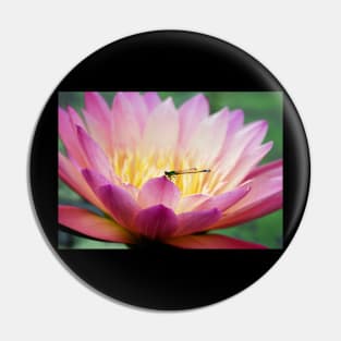 Meditation Wall Art Print - Water Lily and Dragonfly Meditation - canvas, Photo print, artboard print, poster Canvas Print Pin