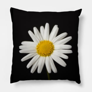 Hello beautiful daisy Pillow