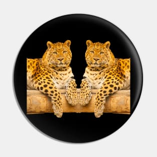 Two leopards Pin