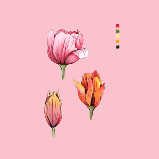 Tulips by IndiasIllustrations