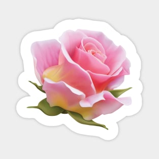 Pink Rose Magnet