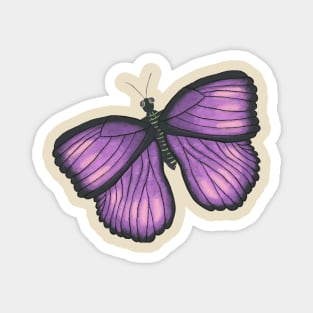 Pattern of hand drawn butterflies in purple and green Magnet