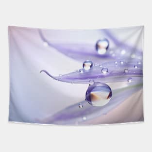 Water Drop Dewdrop Nature Serene Calm Tapestry