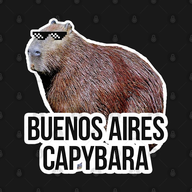 Buenos Aires capybara meme by NeedsFulfilled