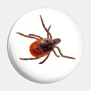 Deer Tick Black-Legged Eastern Pin