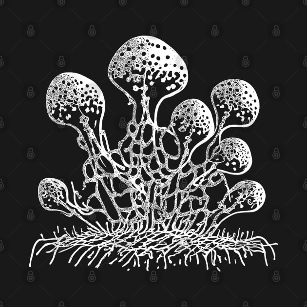 Mycelial fantasy II by Lumot