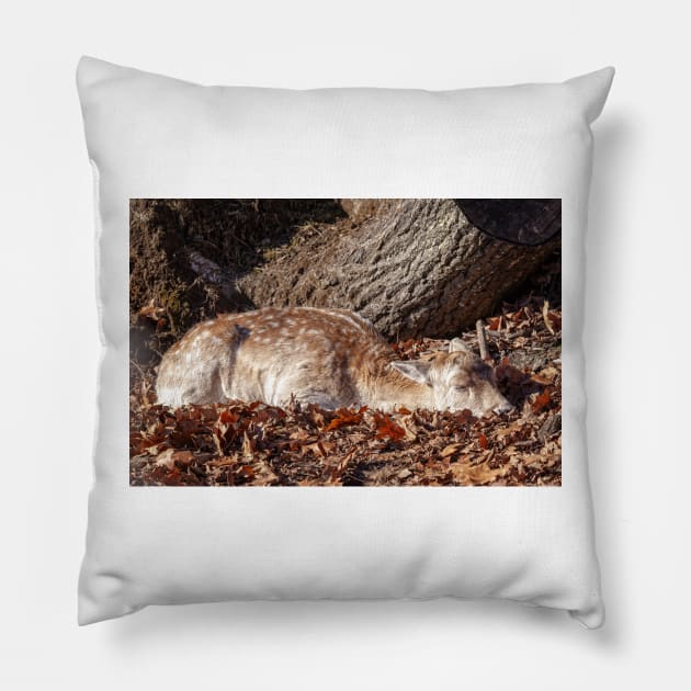 Fallow Deer Pillow by Eunice1