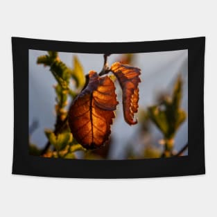 Backlit Golden Leaf Tapestry