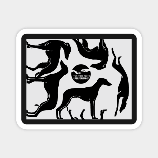 CAMO (BLACK'N WHITE) FOR SIGHTHOUND LOVERS Magnet