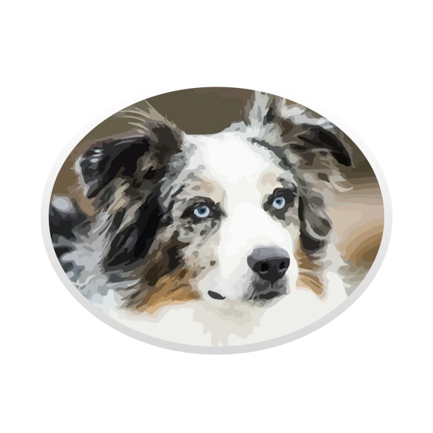 Beautiful Australian Shepherd! Especially for Aussie Lovers! by rs-designs