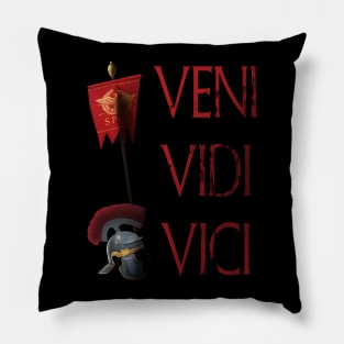 Veni Vidi Vici Pillow