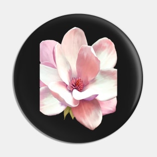 Magnolia Floral Celestes Studio© Pin