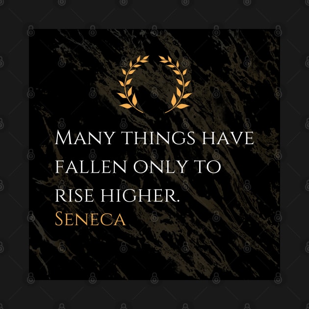 Seneca's Resilience: The Rise After the Fall by Dose of Philosophy