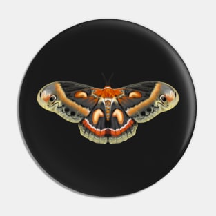 Cecropia Moth Pin