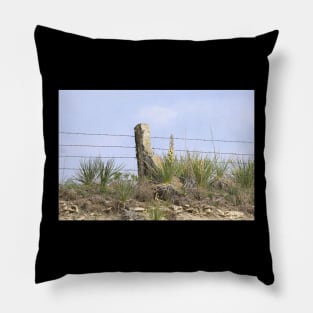 Kansas Stone Post Fence with Yuccas Pillow