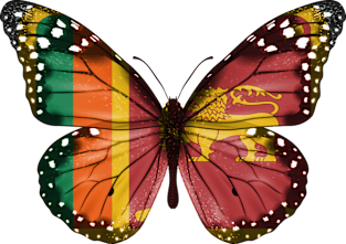 Sri Lankan Flag  Butterfly - Gift for Sri Lankan From Sri Lanka Magnet