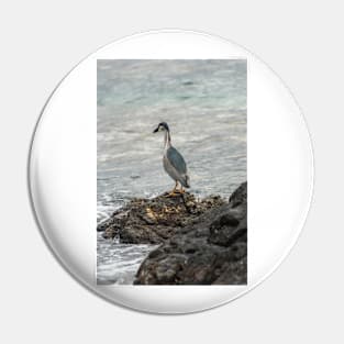 Black-crowned night heron of hawaii 7 Pin