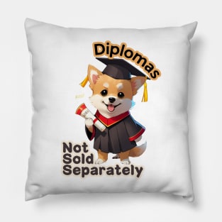 School's out, Diplomas Not Sold Separately! Classof2024, graduation gift, teacher gift, student gift. Pillow