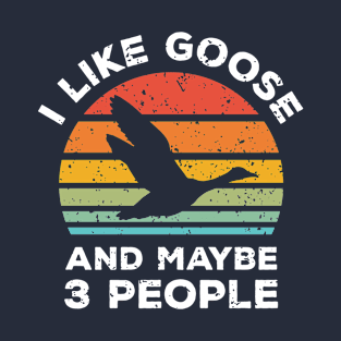 I Like Goose and Maybe 3 People, Retro Vintage Sunset with Style Old Grainy Grunge Texture T-Shirt