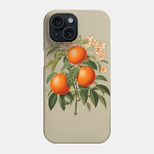 Vintage Oranges Phone Case