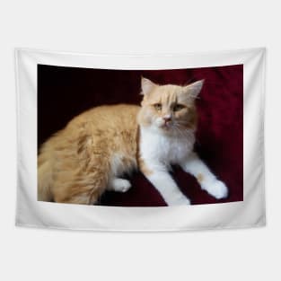 cute cat portrait Tapestry