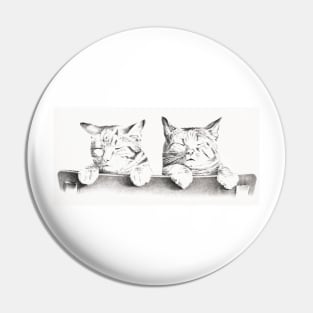 Kitty Cats Pin