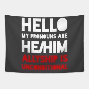 My pronouns are he/him. Ally. Tapestry