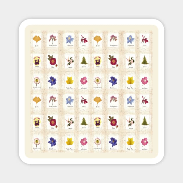 Botanical Pressed Flower Collection Magnet by My Petal Press