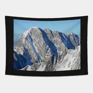 North face of Grandes Jorasses (Alps, France) Tapestry