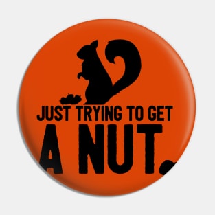 A Nut Pin