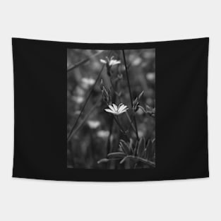 Tiny white flower in black and white Tapestry