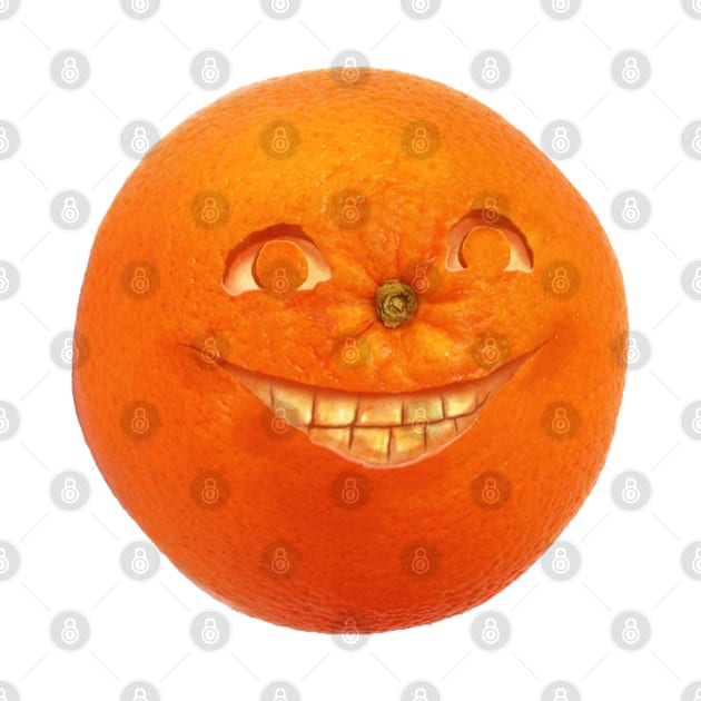 Happy Orange by steveashillustration1971