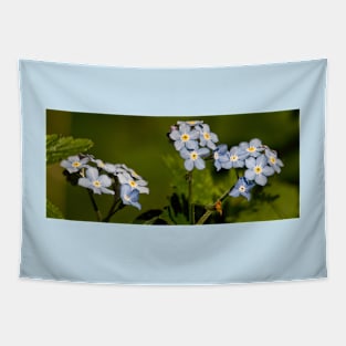 Forget-me-not Panorama Tapestry