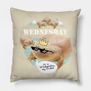 It is Wednesday my Dudes V2 Pillow