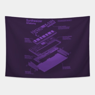 Synthesizer Anatomy design for Synth musician and music producer Tapestry