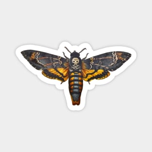 Death's Head Hawkmoth Acherontia atropos Magnet