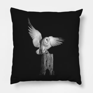 OWL Pillow