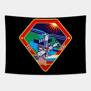 Black Panther Art - NASA Space Badge 75 Tapestry