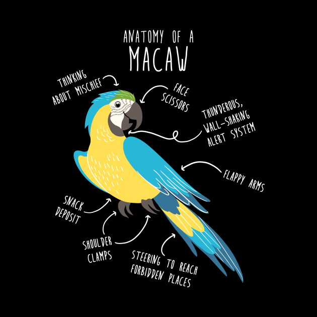 Blue and Gold Macaw Parrot Anatomy by Psitta