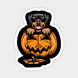 Halloween Rottweiler Pumpkin Magnet