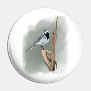 Pied Wagtail Soft Pastel Drawing on Grey Pin