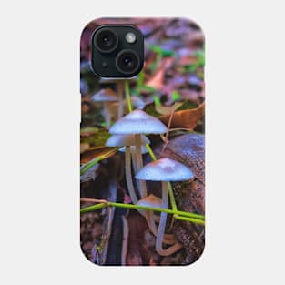 Delicate fungi in forest Phone Case