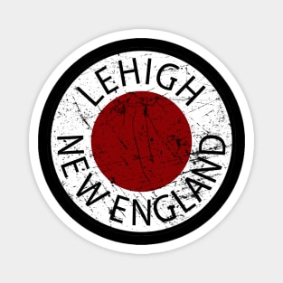 Distressed Lehigh and New England Railroad Magnet