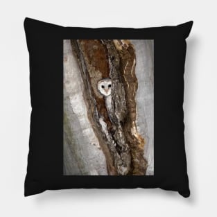 Barn Owl Peekaboo Pillow