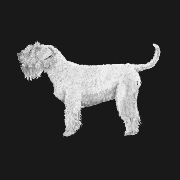 Disover Soft coated wheaten terrier - Terrier - T-Shirt